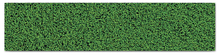 Трава (Grass)